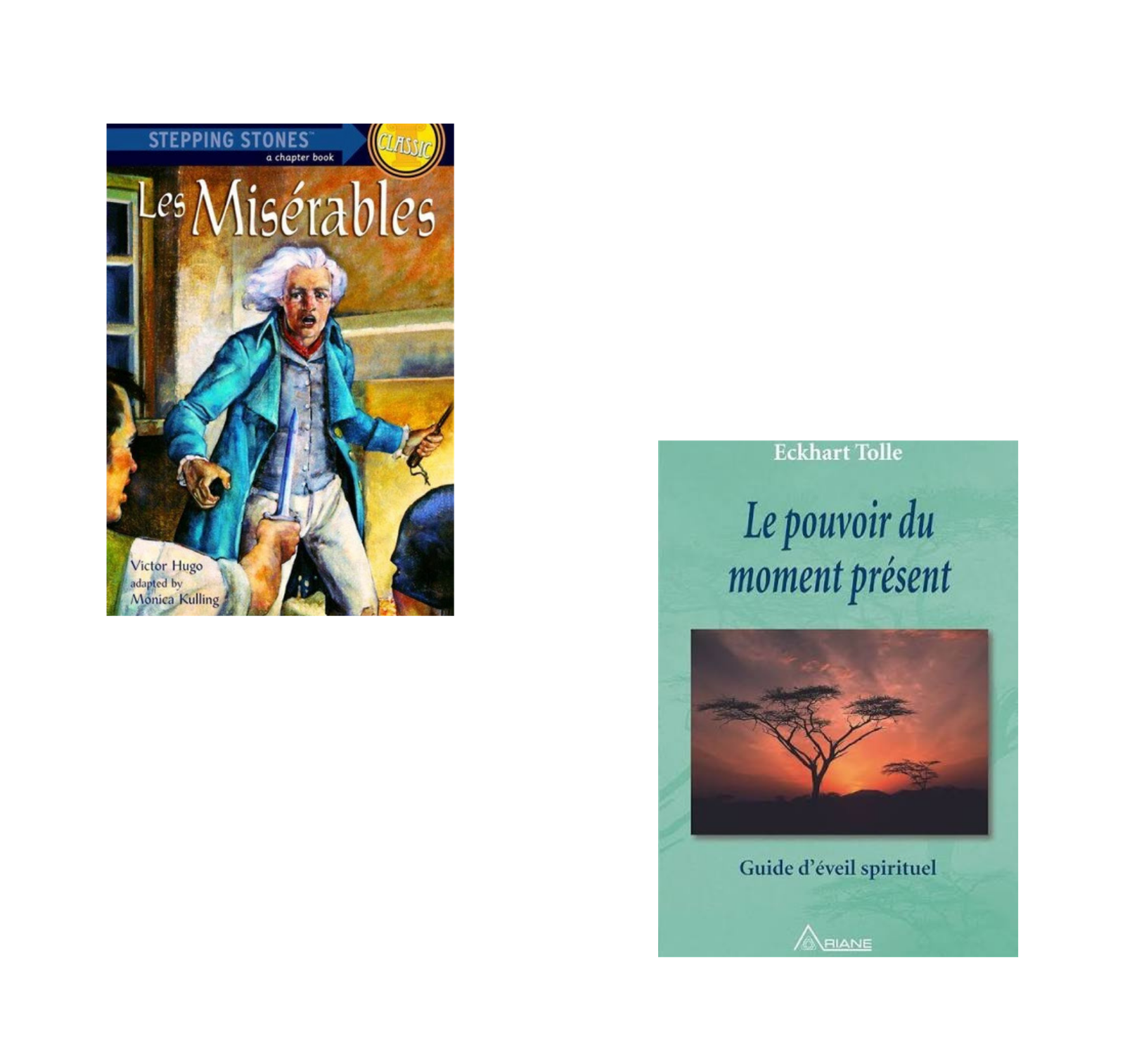 livre v