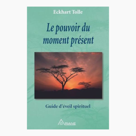 Home le pouvoir